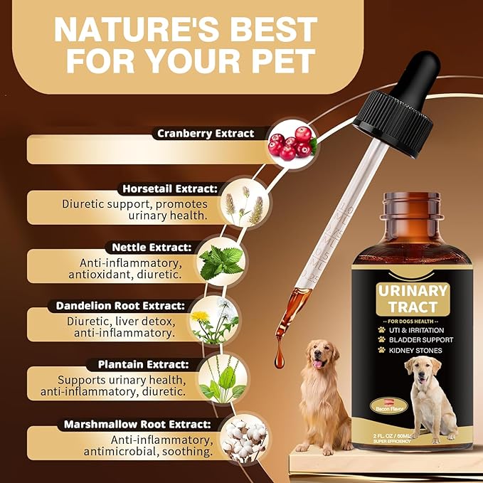 Dog UTI Treatment - Cranberry Supplement Drops for Dogs UTI - Urinary Tract Infection Treatment Medicine, Helps with Bladder & Kidney Health-Chicken