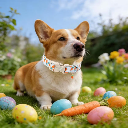 Unique style paws Dog Collar Plastic Buckle with Pendant Puppy Collar for Easter Flower Carrot for Small Medium Large Boys Girls Dogs