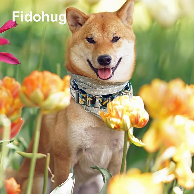 Martingale Collar for Dogs with Buckle Pretty Cute Floral Nylon Dog Collars for Medium Dogs (Luxury Golden Flowers, Medium)