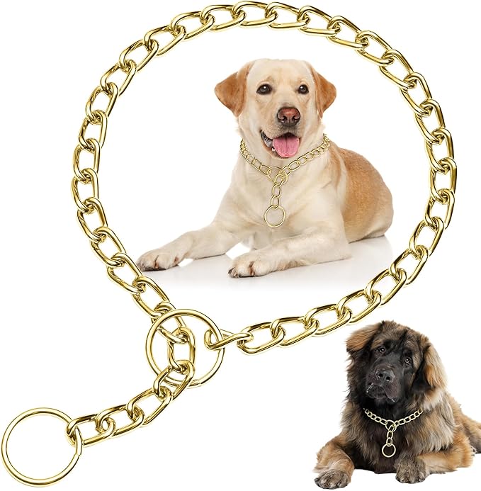 Chain Collar for Small Dogs, Metal Slip Link Training Heavy Duty Dog Choker Collar Martingale Puppy Collars for XS Small Medium Large Big XL Breed Dogs (Gold, XS(Neck Max 12inch) D2.0mm)