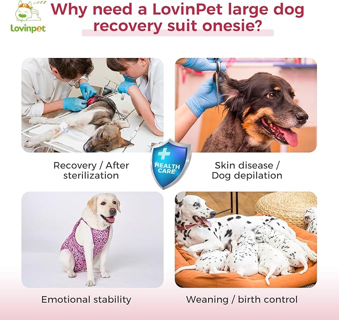 LovinPet Dog Recovery Suit for Large Medium Dogs - Professional Large Dog Recovery Suit,Post-Operative Vest E-Collar Alternative,Legs Without Coverage Design, Leopard Print Style, Pink,XXL