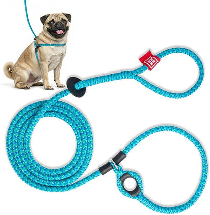 Harness Lead No Pull Dog Harness and Leash Set, Anti Pull Dog Harness for All Breeds and Sizes, One-Piece Cushioned Rope Design Safely Prevents Escaping and Pulling (Small/Medium, Blue/Multi)