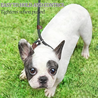 MayPaw Slip Lead Control Leash for Dogs No Pull, 13+ Colors Classic Dog Lead 7FT Pet Slip Leash, 1/4” Rope Leashes for Small Medium Animals (7ft*1/4", Rose red)
