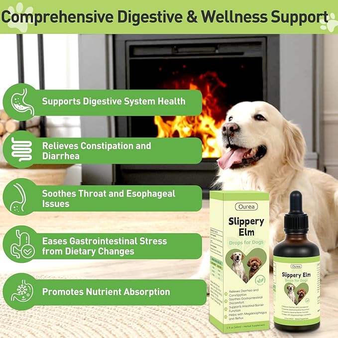 Slippery Elm for Dogs, Organic Herbal Digestive Support Drops for Dog Diarrhea Constipation Sensitive Stomach Acid Reflux, Promotes Healthy Digestion Bowel Function, Liquid Formula for All Breeds