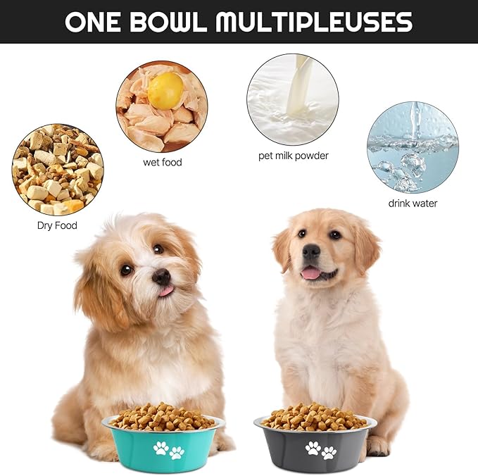 Stainless Steel Dog Bowls 2 Pack Small Medium Dogs Feeding Food Water Bowl with Non-Slip Silicone Sole, Stainless Steel Dog Dishes Elevated Raised Pet Feeder(Green+Grey, M(3.6 Cups)