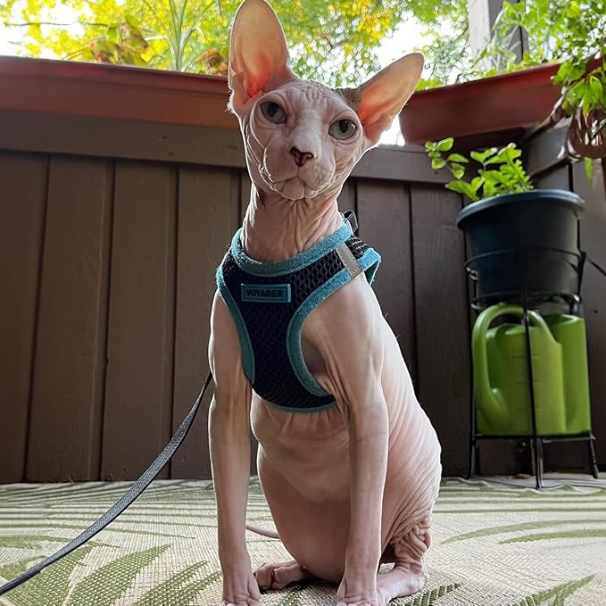 Best Pet Supplies - All Weather Mesh/Plush, Reflective, No Pull Harness for Small, Medium Dogs, Cats - Secure with Hook & Loop Fastener, Buckle, Double D-Rings - Black/Blue Trim, XS