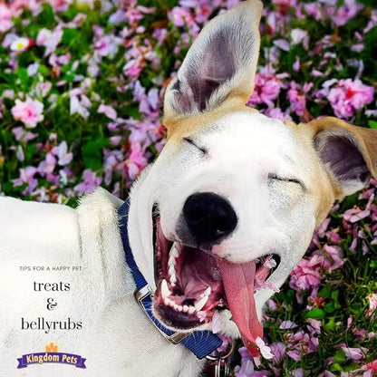 Duck Jerky & Sweet Potato Dog Treats with Only 4 Ingredients and No Fillers, 3 Pound Bag