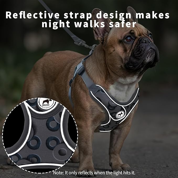 Dog Harness with Leash Set, Adjustable Step in Dog Harness with Breathable Padded Vest for Small Training (XS, Gray with Circle)