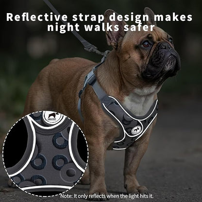 Dog Harness with Leash Set, Adjustable Step in Dog Harness with Breathable Padded Vest for Small Training (XS, Gray with Circle)