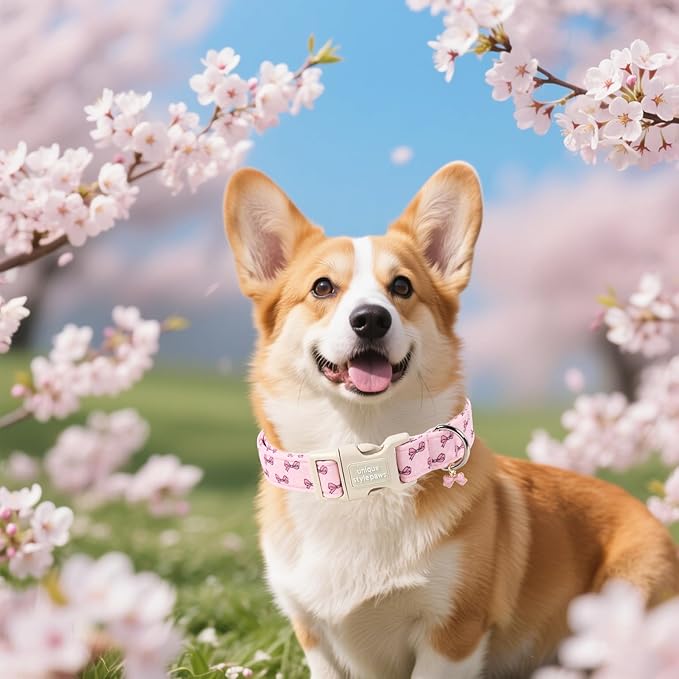 Unique style paws Dog Collar Plastic Buckle with Pendant Puppy Collar for Spring Summer Polka Dot Bow for Small Medium Large Boys Girls Dogs