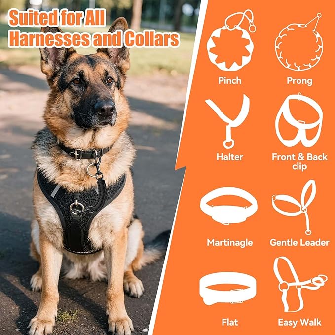 Dog Collar Safety Clip, Collar Companion, Handmade Backup Safety Strap, Double-Ended Clip Leash Connector, Suitable for Dog Harnesses, Prong, Pinch Collars (Black, 1 Pack)