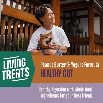 Whole Life Dog Living Treats for Dogs – Human Grade Probiotics for Digestive & Gut Health, Gas, Diarrhea, Vomit & Constipation Relief, Health Supplies - Peanut Butter, 3 oz (Pack of 1)