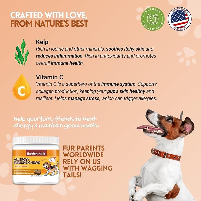 Herbion Pets Allergy + Immune Chews with Kelp & Vitamin C, 120 Soft Chews, Supports Immunity, Skin & Coat Health, Relieves Itchy Skin, Made in USA, Natural Vegetable Flavor, for Dogs 12 Weeks+, Pack 1