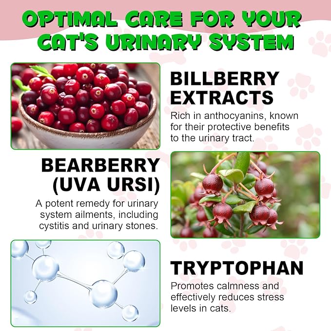 Urinary Tract for Cats, Natural Cat Urinary Tract Infection Treatment Drops Supports Bladder, Kidney Stone, Cat UTI, Cranberry Kidney Bladder Support Supplement, Chicken Flavor - 60ml / 2.02oz