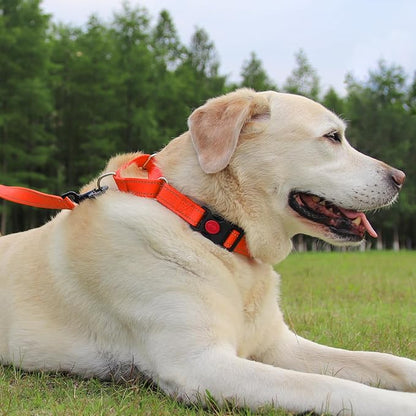Joytale Martingale Collar for Dogs, Reflective Heavy Duty for Safety, Quick Release Buckle, Adjustable Nylon Collars for Medium Dogs Walking Training, Orange,M
