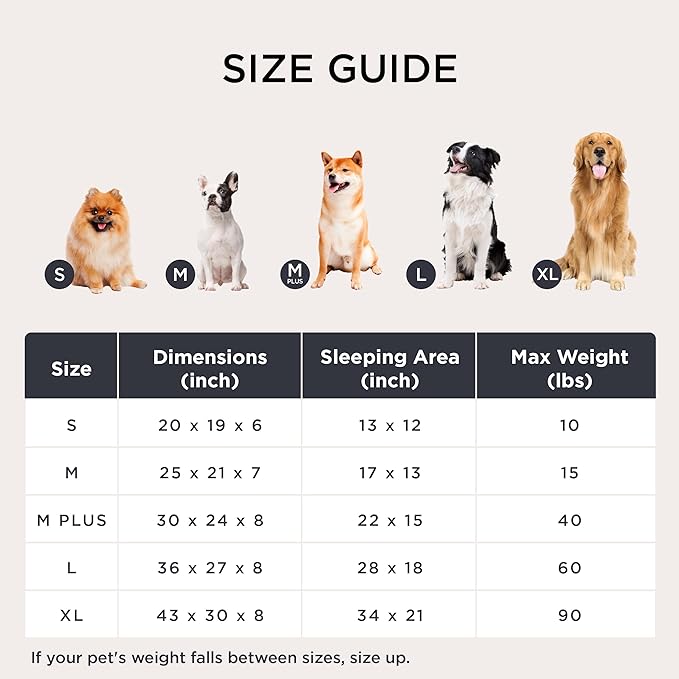 Bedsure ComfyFleece™ Washable Dog Bed for Medium Dogs - Cute Furry Puppy Beds, Rectangle Orthopedic Corduroy Fleece Pet Beds with Removable Zipper Cover, 20x19x6inches, Blue