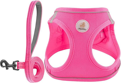 Hipubby Dog Harness and Leash Set, No Pull Soft Mesh Puppy Harness for Small Medium Dogs, Cats - Step in Reflective Breathable Lightweight Vest Harness for Walking, Training - Rose Red, L