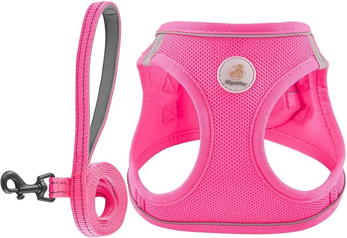 Hipubby Dog Harness and Leash Set, No Pull Soft Mesh Puppy Harness for Small Medium Dogs, Cats - Step in Reflective Breathable Lightweight Vest Harness for Walking, Training - Rose Red, XS