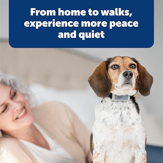 PetSafe Ultrasonic Bark Control Collar - Gentle No Shock Bark Training - Lightweight Comfortable Design - Water Resistant Dog Collar - Humane