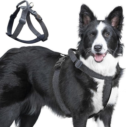 Galaxy Reflective Dog Harness,Adjustable 4-Point Fit,Anti-Pinch Buckles,Back-Clip Control & Emergency Handle,Velvet Lined for Small, Medium and Large Dogs, (Black, M)