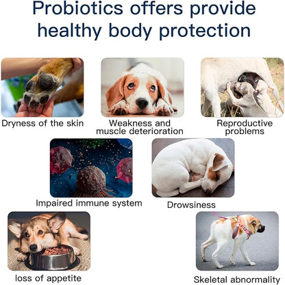 Probiotics for Dogs, Dog Probiotics for Yeast, Itchy Skin and Itchy Ears, Digestive Enzymes with Prebiotics for Digestive Health, Probiotic Chews for Dogs Support Immunity Health - (Chicken 60 Ct)