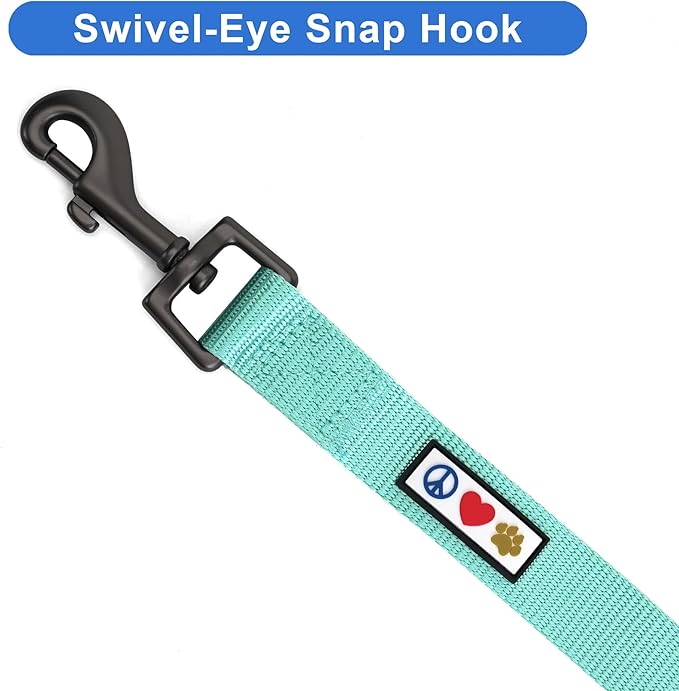Pawtitas Personalized 6 ft Teal Dog Leash M/L Custom Name and Phone Embroidery Strong Nylon Leash for Medium and Large Breeds