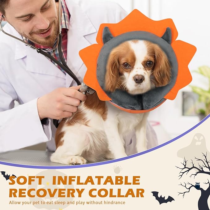IEUUMLER Inflatable Recovery Dog Collar, Protective Donut Cone, Adjustable Soft Collar for Dog and Cat After Surgery Prevent from Biting & Scratching EU002 - Grey Demon L