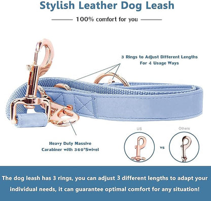 Soft Leather Dog Collar and Leash (6.6') Set - Stylish Rose Gold Heavy Duty Metal Buckle, 4 Adjustable Lengths Leash for Small Medium Large Dogs - Comfortable & Easy to Clean BluePurple L(15.4"-24.8")