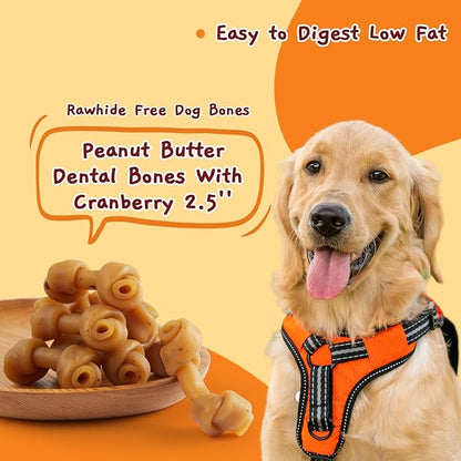 Jungle Calling Peanut Butter Dog Treats, Dental Puppy Chews, Rawhide-Free Bones for Small Dogs, 2.5'', About 15 Count