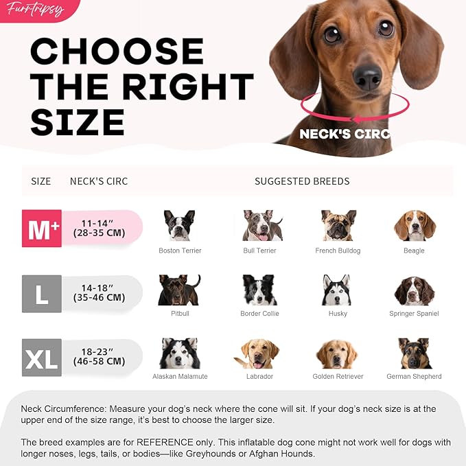 Inflatable Dog Cone Collar with Detachable Sturdy Shield,Soft&Lightweight-Ideal for Post-Surgery Recovery and Daily Wear,Suitable for Small Medium Large Dog Breeds(Donut Pink,M+)