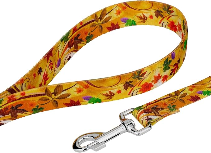 Country Brook Petz - Autumn Wind Everyday Dog Collar and Leash - Awesome Autumn Collection Featuring Designs You'll Fall for (1 Inch, Medium)