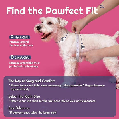 Eagloo Small Dog Harness and Leash Set, Step in Puppy Vest with Breathable Soft Mesh, Walking Reflective Pet Harness for Medium Small Dogs, Rose Red, M