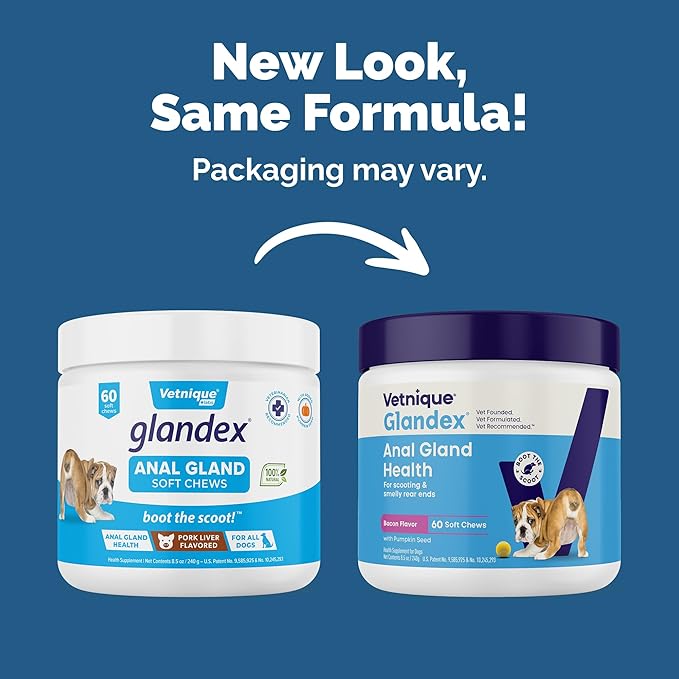 Vetnique Glandex Anal Gland Soft Chew Treats with Pumpkin for Dogs Digestive Enzymes, Probiotics Fiber Supplement for Dogs Boot The Scoot (Bacon Flavor Chews, 60 Count) (Pack of 2)