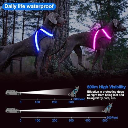 ChalkLit Light Up Dog Harness, No Pull Led Dog Harness Glow-in-The-Dark for Night Walking, USB Rechargeable Lighted Safety Vest for Medium Large Dogs, Adjustable Soft Mesh Fully Illuminated (Blue, XL)