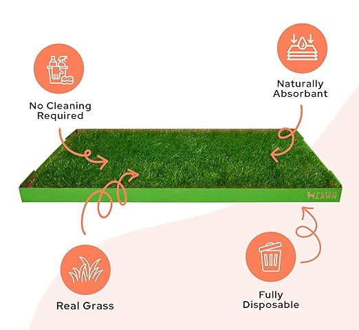 DoggieLawn XL - Real Grass Dog Pee Pad with Built-in Disposable Tray | No Cleaning, Odor-Free | Indoor Outdoor Potty Training for Puppies & Large Dogs | 48" x 24"