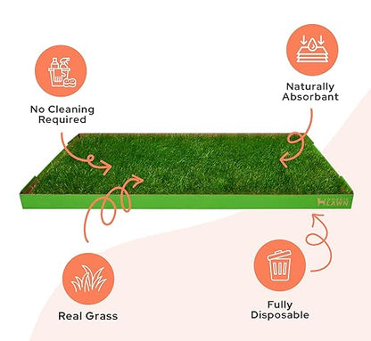 DoggieLawn XL - Real Grass Dog Pee Pad with Built-in Disposable Tray | No Cleaning, Odor-Free | Indoor Outdoor Potty Training for Puppies & Large Dogs | 48" x 24"