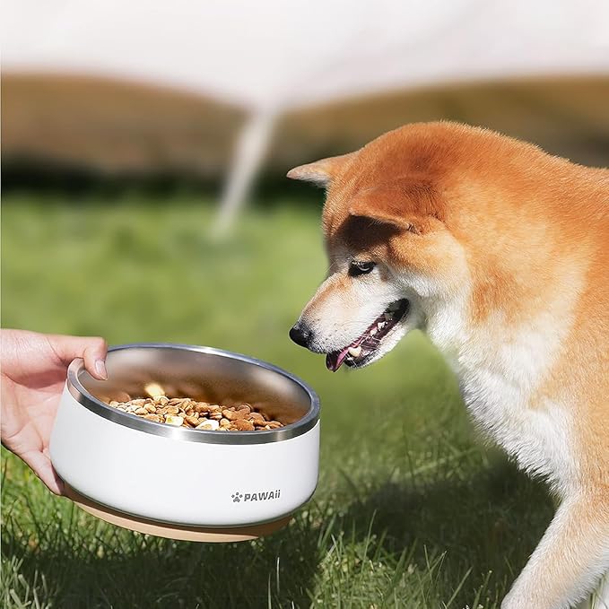 Pawaii Dog Bowl, 34 oz Double-Wall Stainless Steel Food and Water Bowl, Non-Slip Rubber Base, Dishwasher Safe, ID Tag Included, (1 Pack)
