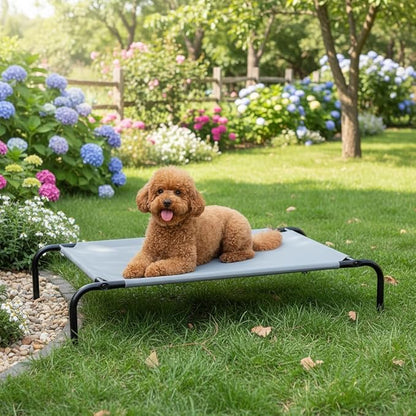 Amazon Basics Cooling Breathable Elevated Dog Bed with Durable Metal Frame, Medium, 43 x 26 x 7.5 Inch, Grey, Easy to Assemble