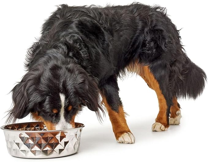 Hunter Silicone Stainless Steel Dog Feeder 4.1 L