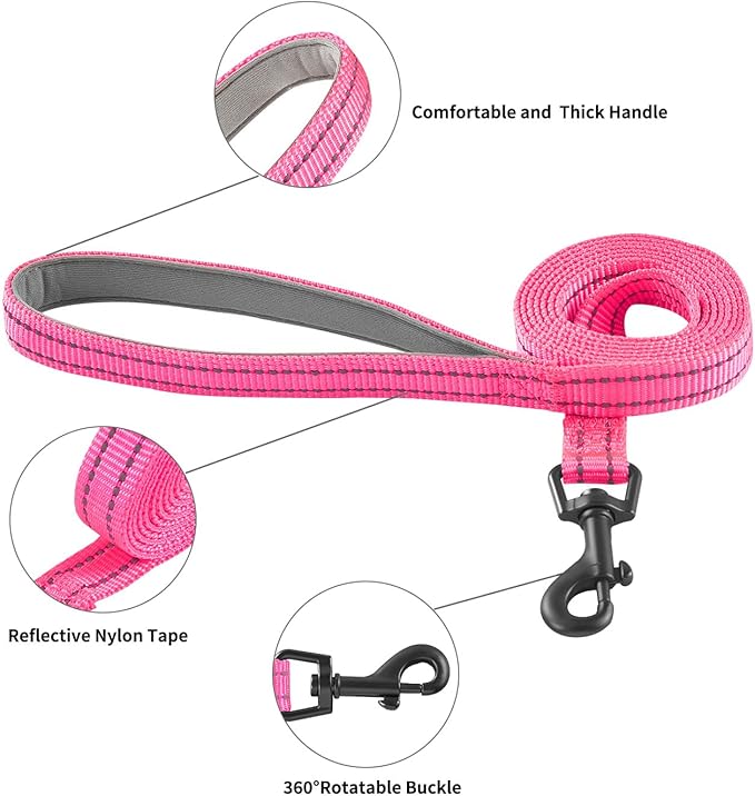 Hipubby Dog Harness and Leash Set, No Pull Soft Mesh Puppy Harness for Small Medium Dogs, Cats - Step in Reflective Breathable Lightweight Vest Harness for Walking, Training - Rose Red, XXS