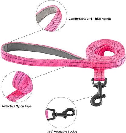 Hipubby Dog Harness and Leash Set, No Pull Soft Mesh Puppy Harness for Small Medium Dogs, Cats - Step in Reflective Breathable Lightweight Vest Harness for Walking, Training - Rose Red, XXS