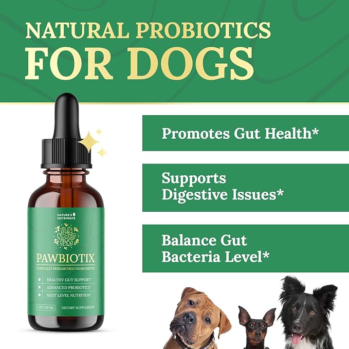 Pawbiotix Liquid probiotics for Dogs - Dog probiotics for Digestive Health | 100% Natural Dog Gut Health probiotics | probiotics for Dogs | Original Formula, Beacon Flavor, 1oz, 1 Month Supply