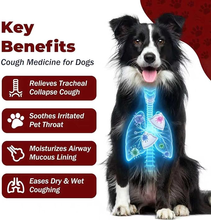 Kennel Cough Treatment, Cough Relief for Dogs, Helps Ease Coughing from Tracheal Collapse, Dry & Wet Cough, Natural Soothing Herbs for Throat & Airway Comfort, Chicken Flavor - 120 Tablets