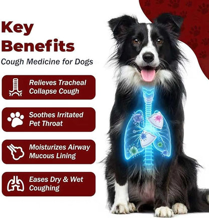 Kennel Cough Treatment, Cough Relief for Dogs, Helps Ease Coughing from Tracheal Collapse, Dry & Wet Cough, Natural Soothing Herbs for Throat & Airway Comfort, Chicken Flavor - 120 Tablets