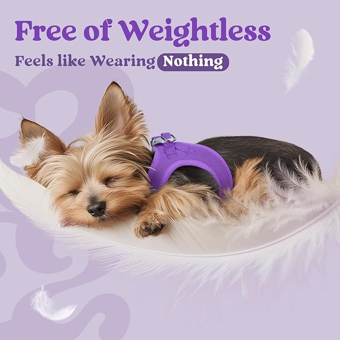 rabbitgoo Small Dog Harness, Step-in Soft Mesh Puppy Vest with Safety Buckle, Breathable Reflective Pet Harness for Extra Small Dogs, Purple XXXS