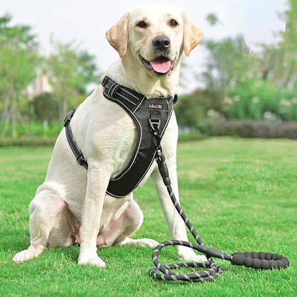 No Pull Dog Harness Adjustable Reflective Oxford Easy Control Medium Large Dog Harness with A Free Heavy Duty 5ft Dog Leash