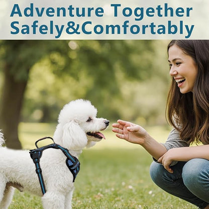 BARKBAY Dog Harness No Pull with ID Tag Pocket - Heavy Duty, Reflective, Easy Control for Small Dogs(Blue/Black,S)