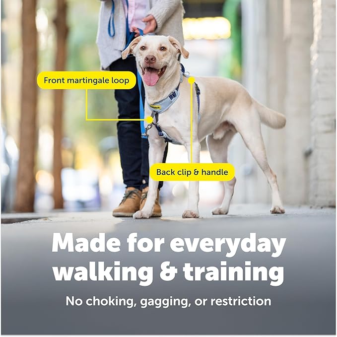 PetSafe Easy Walk Comfort No-Pull Dog Harness - Better Walk Training Harness - Full Body Padded Design - Durable Fabric - 5 Point Adjustable Fit - Everyday Leash Training - Blue - Small/Medium