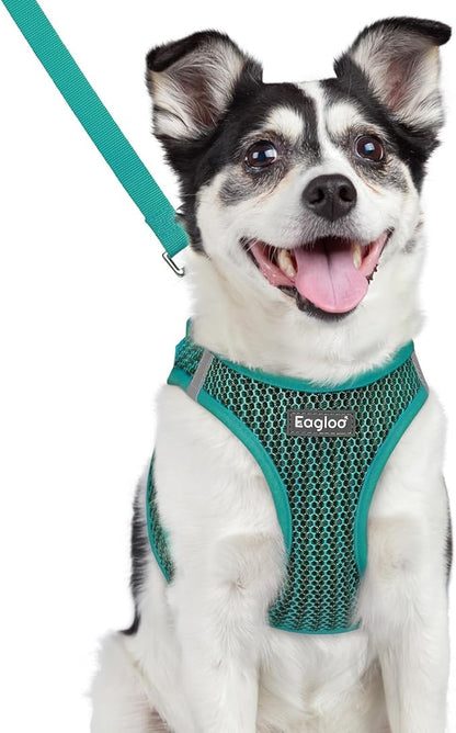 Eagloo Small Dog Harness and Leash Set, Step in Puppy Vest with Breathable Soft Mesh, Walking Reflective Pet Harness for Small Dogs, Forest Green, L