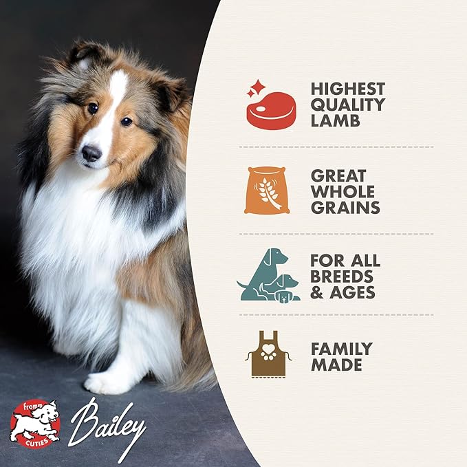 Fromm Four-Star Nutritionals Zealambder Dog Food - Premium Dry Dog Food - Lamb Recipe - 26 lb